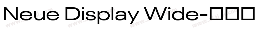 Neue Display Wide字体转换